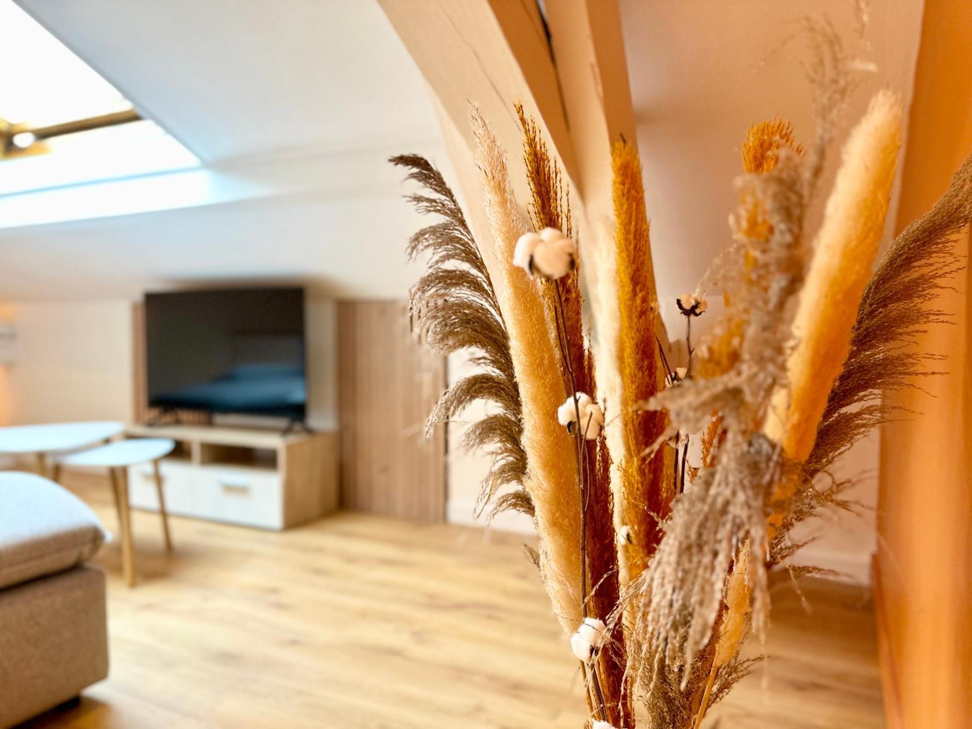L'elegance Montoise - Plein Centre - Confort Apartamento Mont-de-Marsan